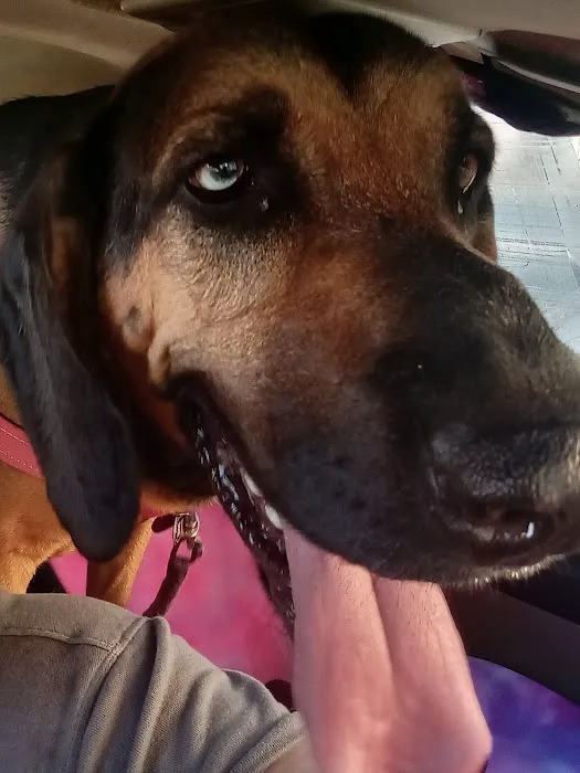 Pryor Veterinary Hospital 1