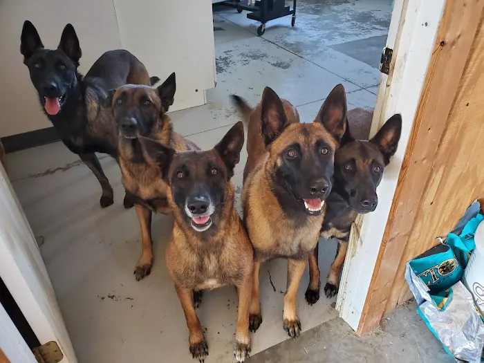 Pryor Veterinary Hospital 2