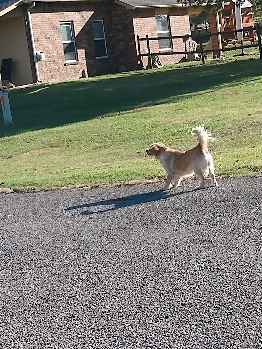 Will Rogers Animal Hospital 6