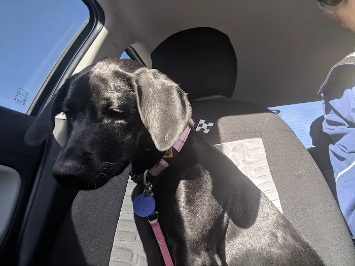 Will Rogers Animal Hospital 8