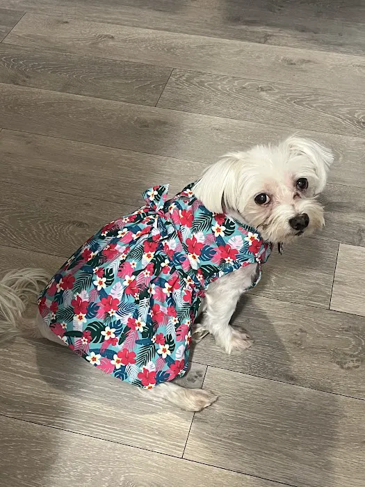 Blue Starr Animal Hospital 1