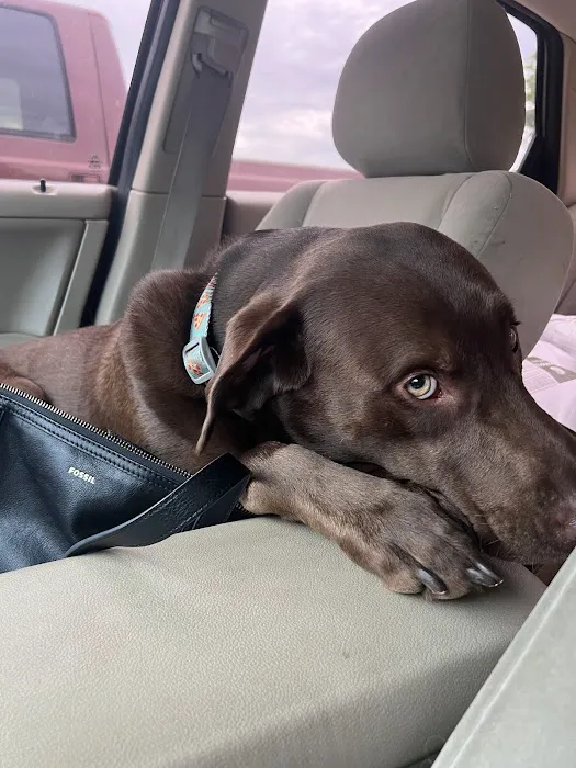 Rogers County Pet Hospital 4
