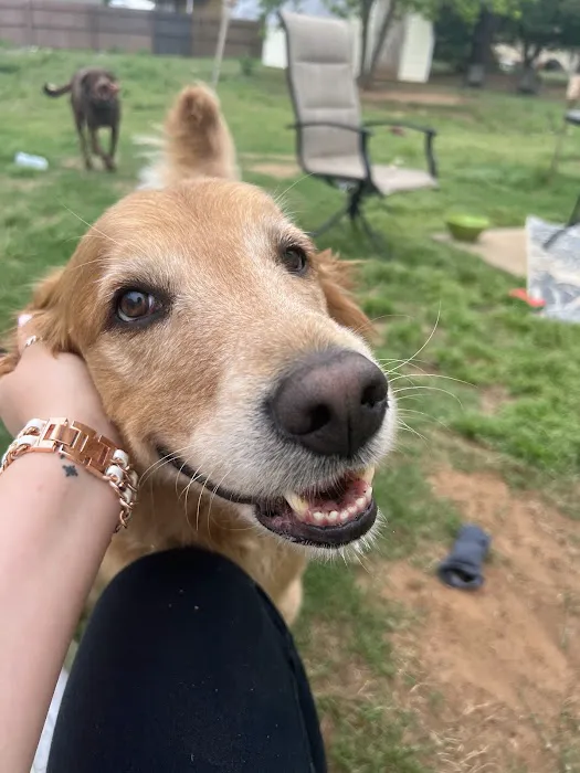 Rogers County Pet Hospital 2