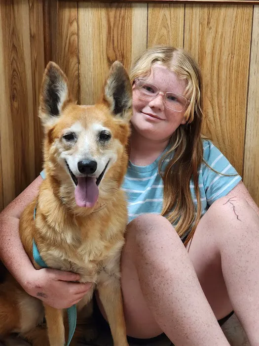 Rogers County Pet Hospital 1