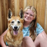 Rogers County Pet Hospital ico