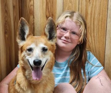 Rogers County Pet Hospital