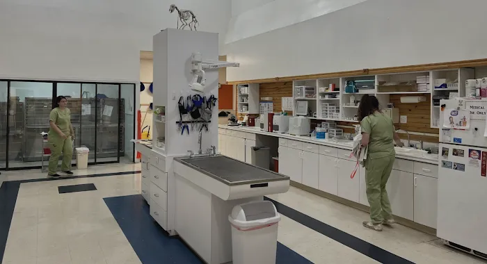 Rogers County Pet Hospital 7