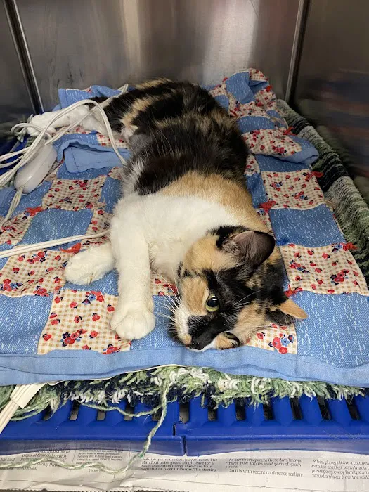 Oswego Veterinary Clinic 1