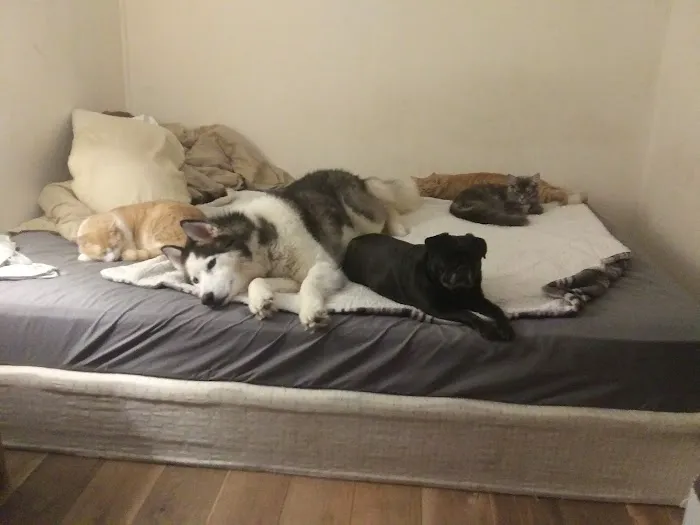 Broadway Animal Hospital 9