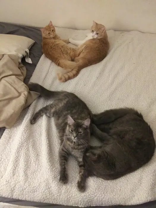 Broadway Animal Hospital 8