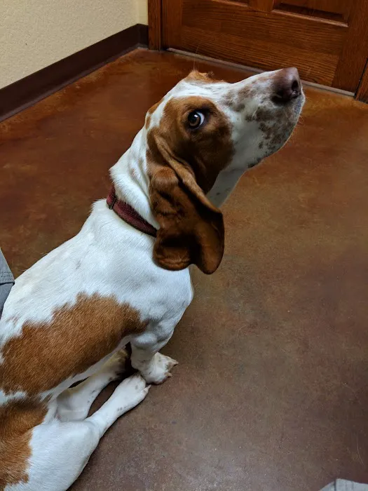 Broadway Animal Hospital 4