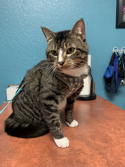 Broadway Animal Hospital 3