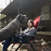 Broadway Animal Hospital ico