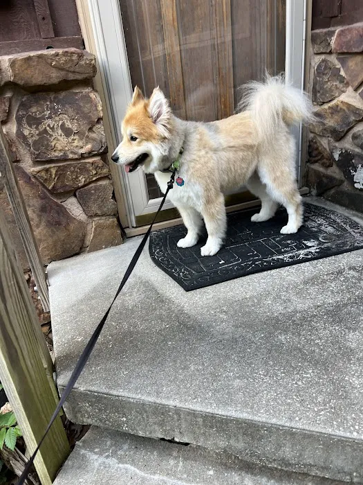 Pet Care & Surgery Center 7