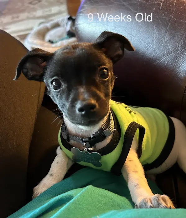 Hobbs Veterinary Clinic 2