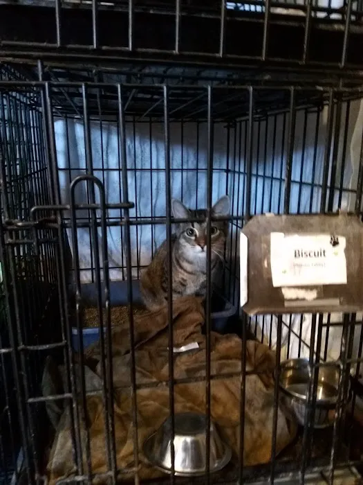 Lakeside Veterinary Services PLLC 9
