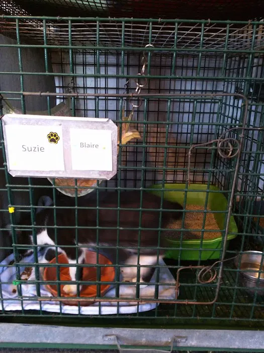 Lakeside Veterinary Services PLLC 6
