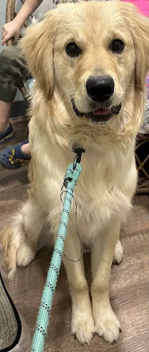 Premier Pet Clinic West 2