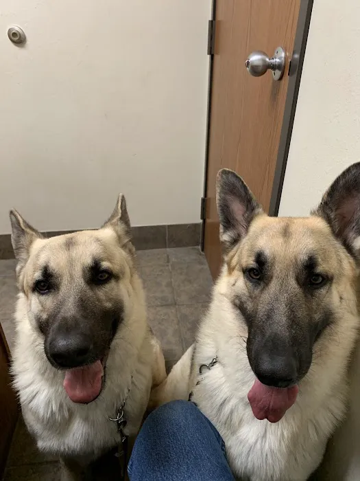 Northside Animal Clinic 2