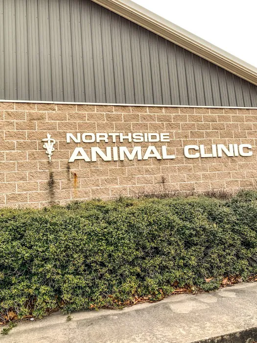 Northside Animal Clinic 5