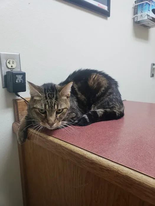 Northside Animal Clinic 8