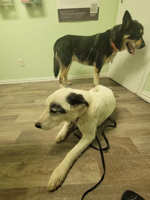Animal Clinic of Wagoner 2