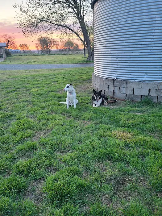 Animal Clinic of Wagoner 7