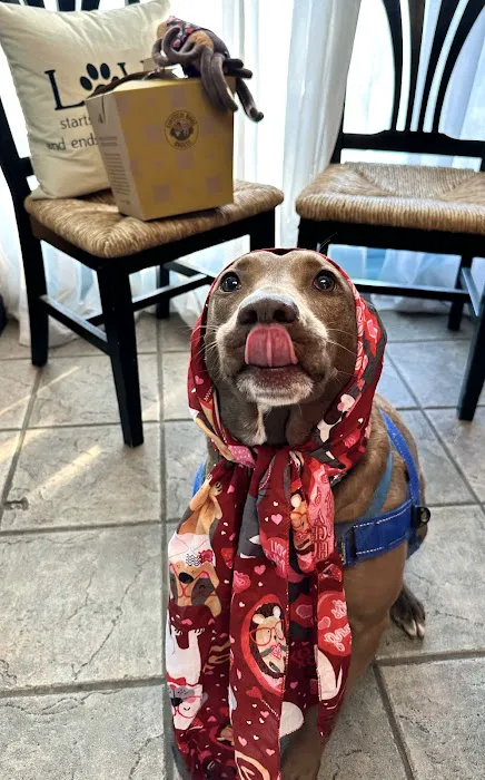 West Oaks Animal Hospital 1