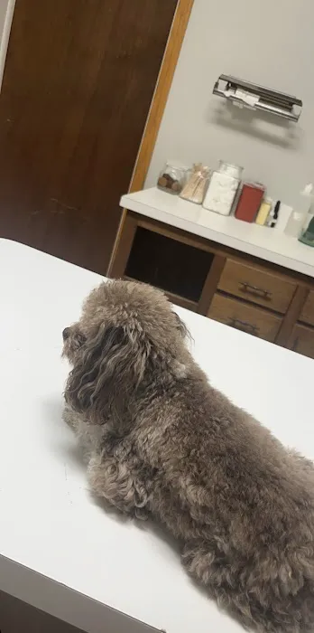 Stanton Animal Hospital 4