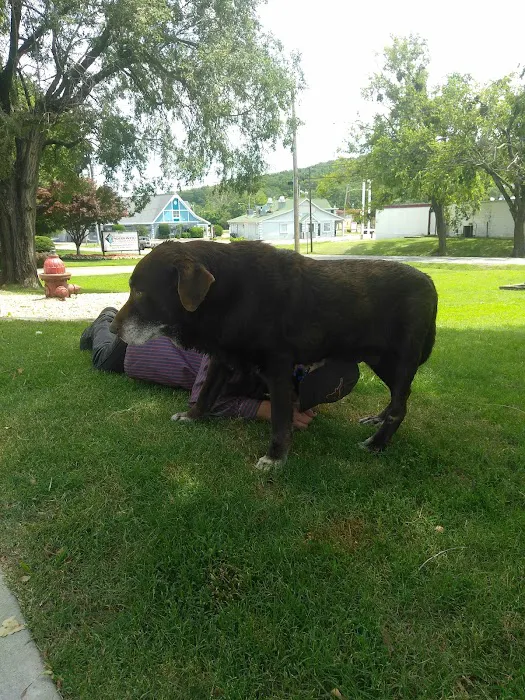 Stanton Animal Hospital 10