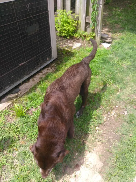 Stanton Animal Hospital 5