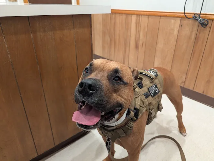 Stanton Animal Hospital: Butler Metta DVM 3