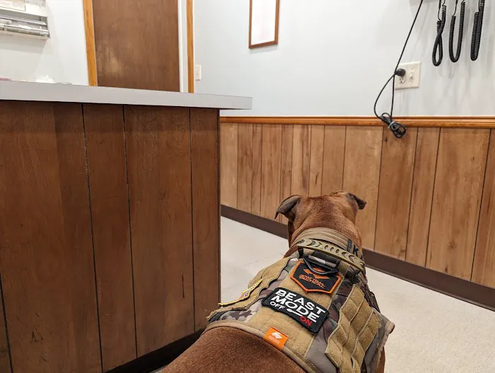 Stanton Animal Hospital: Butler Metta DVM 4