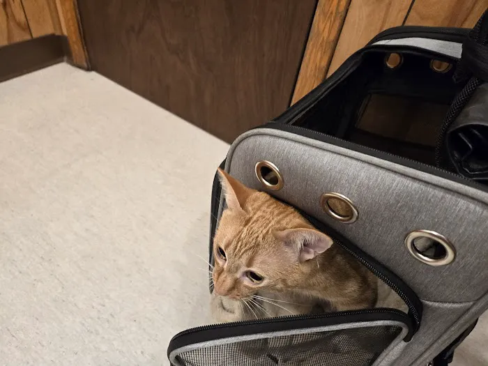 Stanton Animal Hospital: Butler Metta DVM 6