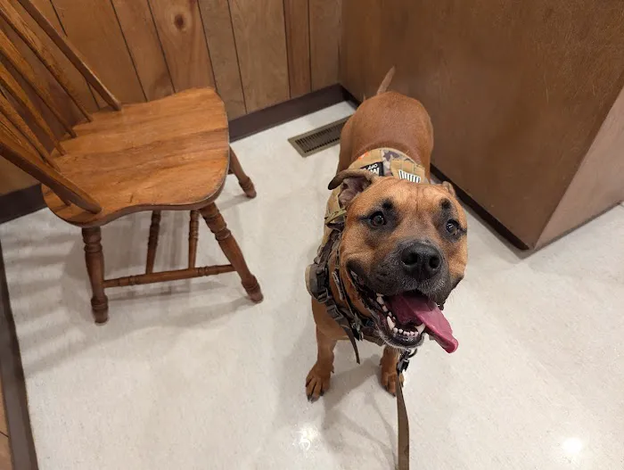 Stanton Animal Hospital: Butler Metta DVM 5