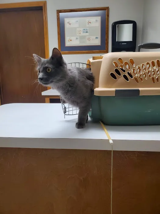 Stanton Animal Hospital: Butler Metta DVM 1