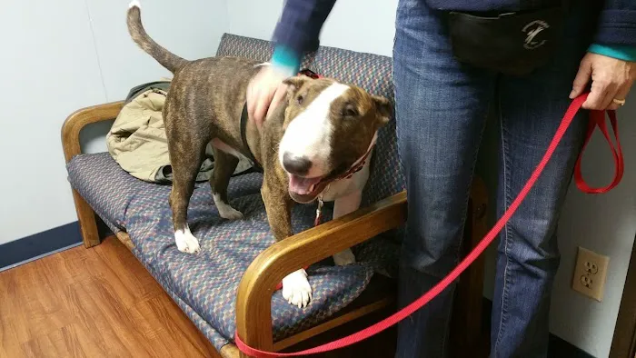 Family Pets Veterinary Care and Acupuncture 4