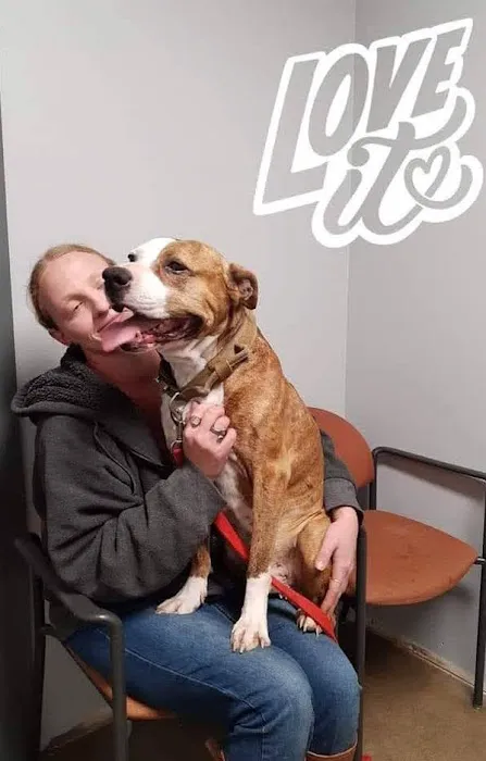 Smithers Animal Hospital 6