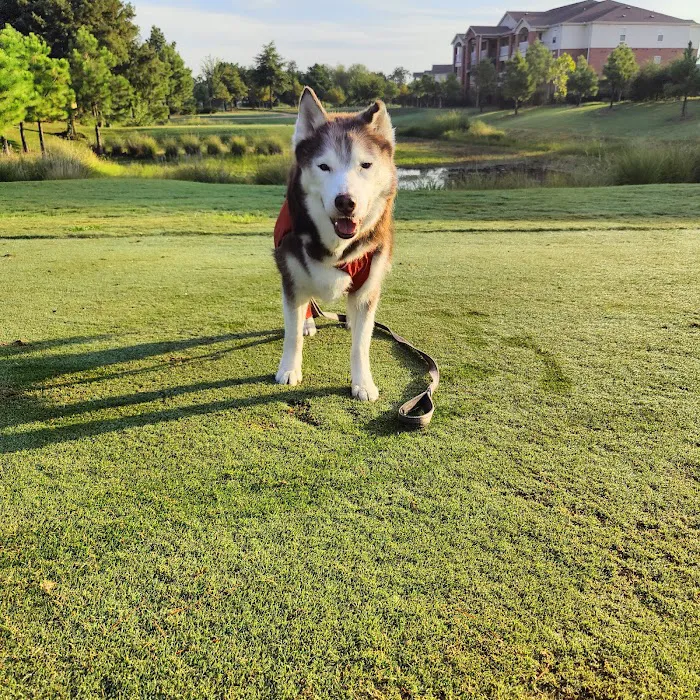 LocalVet Urgent Care 10