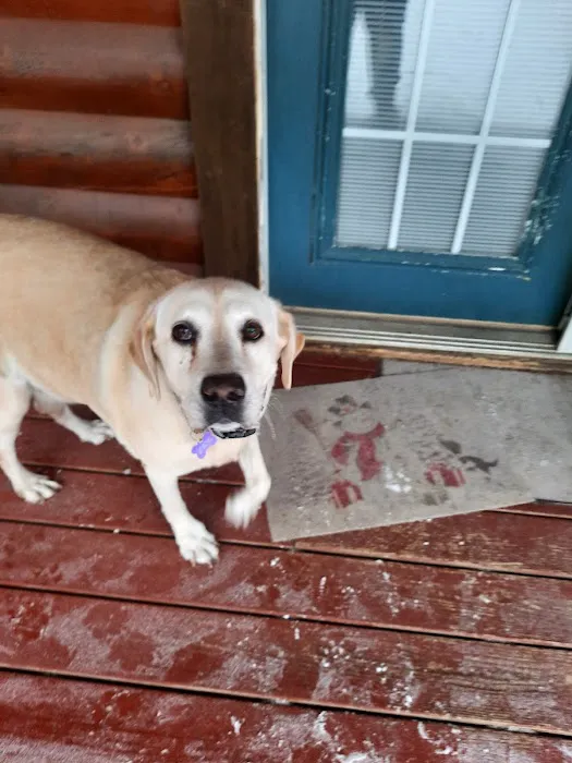 LocalVet Urgent Care 6