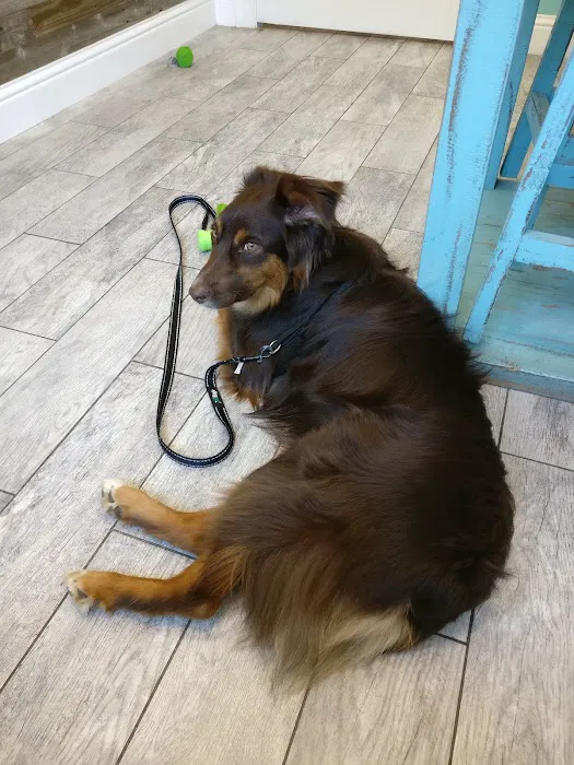 Gulley Park Pets Clinic 7