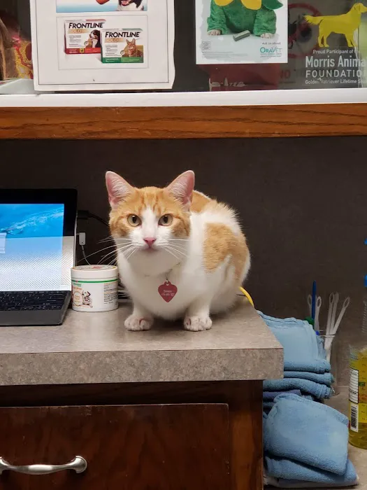 Animal Medical Clinic 5