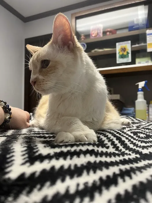 Animal Medical Clinic 9