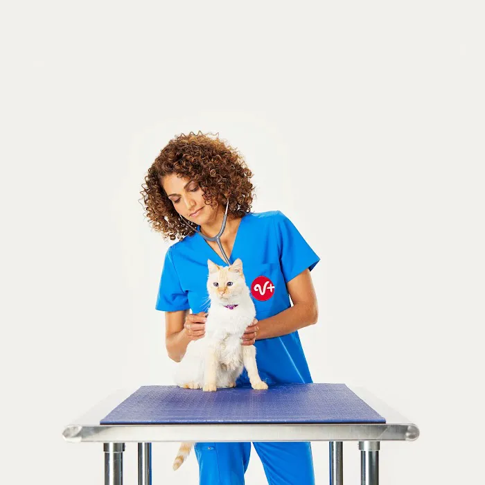 PetSmart Veterinary Services - Fayetteville 7