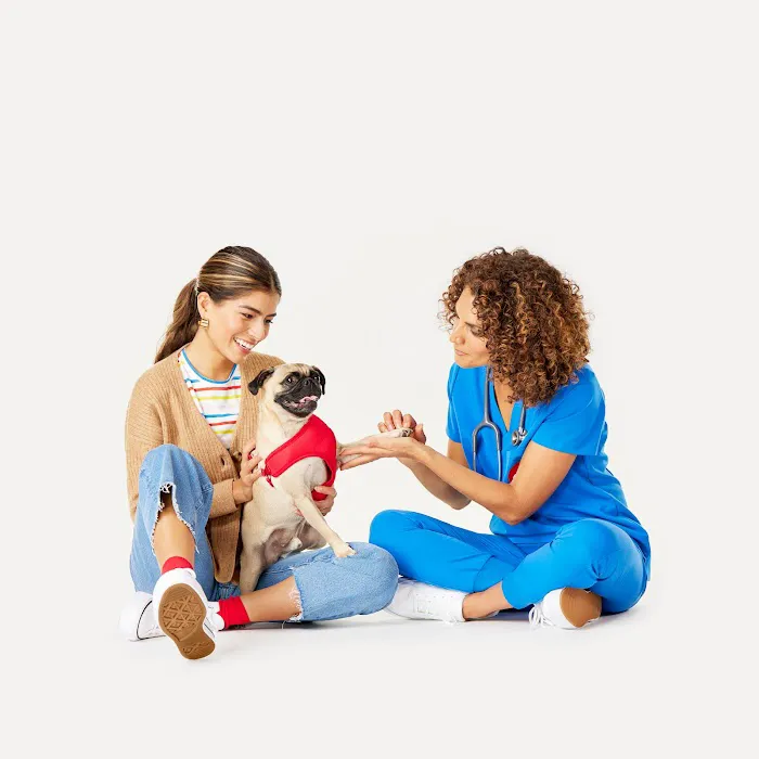 PetSmart Veterinary Services - Fayetteville 2