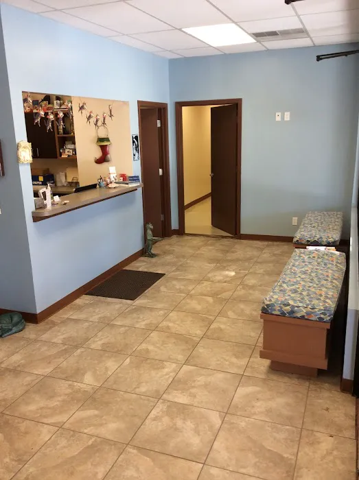 All Cats Clinic 7