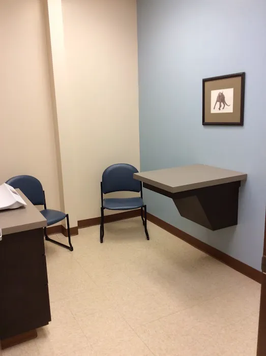 All Cats Clinic 10