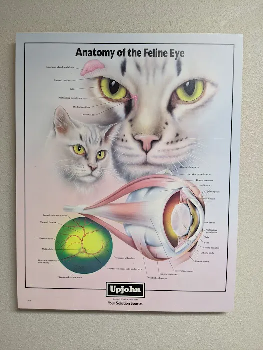 Bratton Veterinary Clinic 2