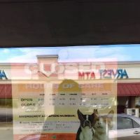 Bratton Veterinary Clinic ico