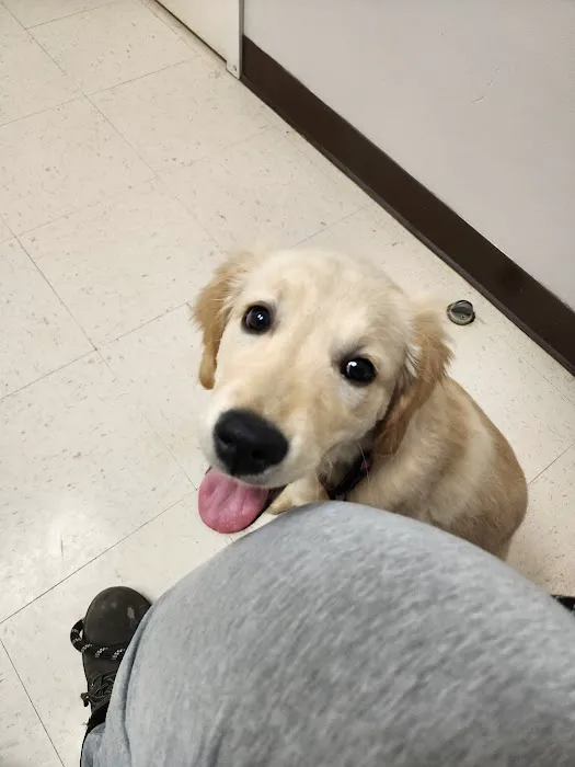 Animal Clinic of S.E. Kansas 1